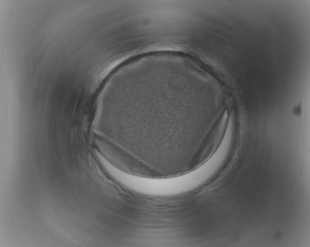 X0000110941169200907022126