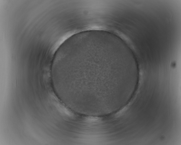 X0000110941170200907022126