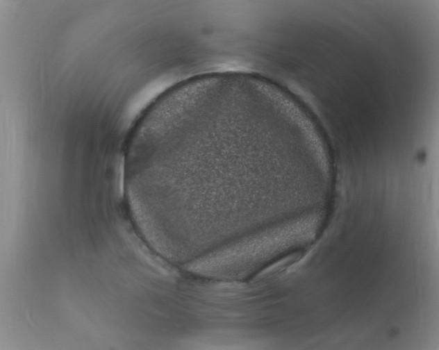 X0000110941171200907022126