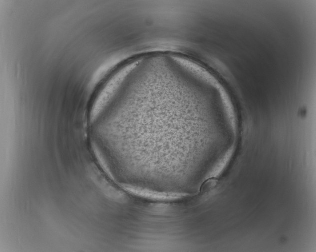 X0000110941172200907022126