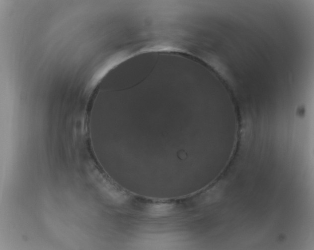 X0000110941173200907022126