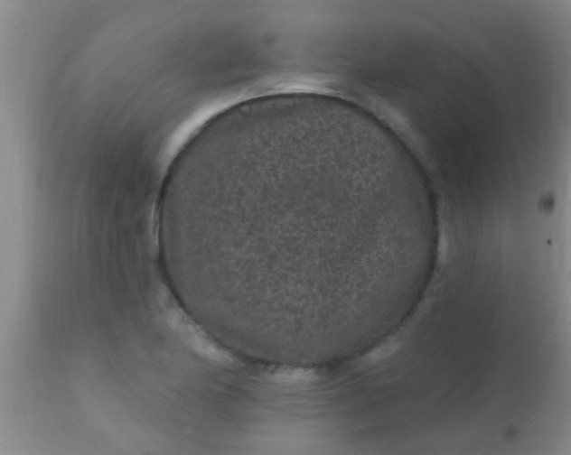 X0000110941174200907022126