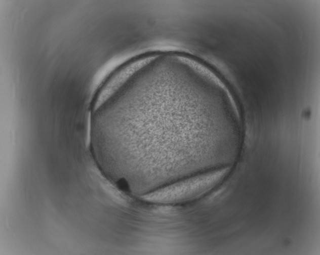 X0000110941175200907022126