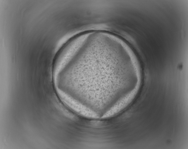 X0000110941176200907022126