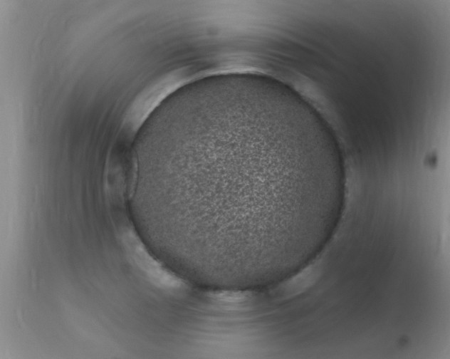 X0000110941177200907022126