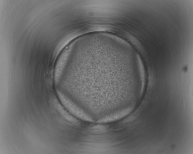 X0000110941178200907022126