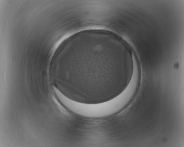 X0000110941181200907022126