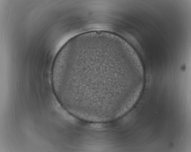 X0000110941182200907022126