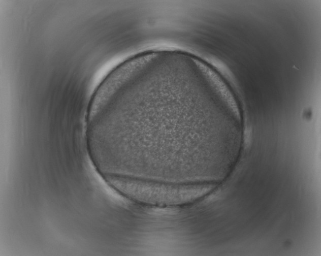 X0000110941183200907022126