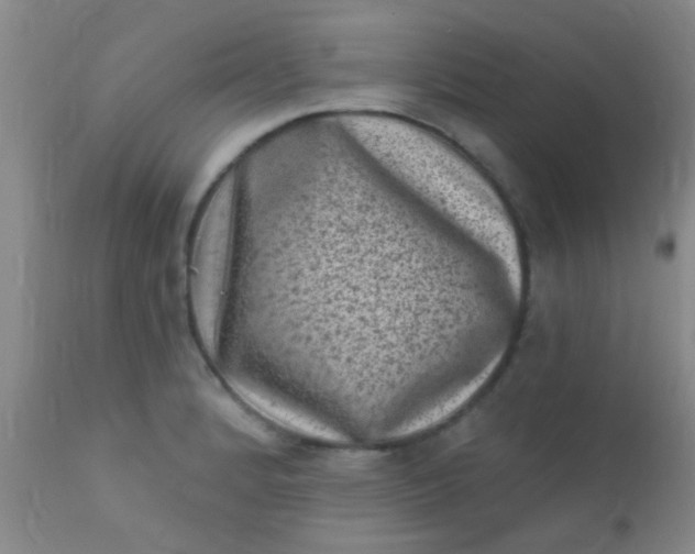 X0000110941184200907022126