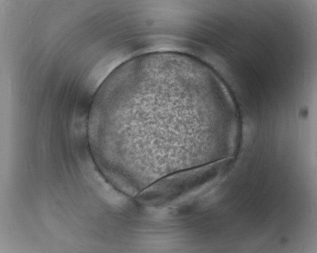 X0000110941185200907022126