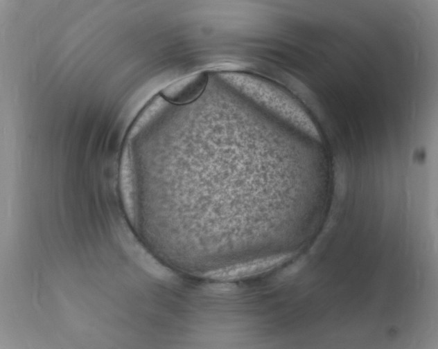 X0000110941186200907022126