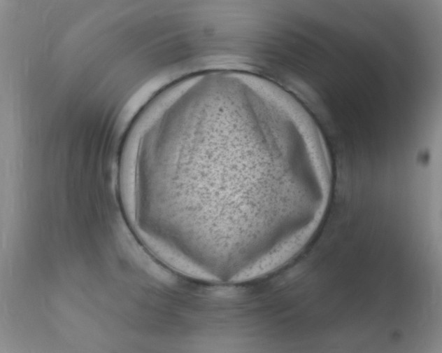 X0000110941188200907022126