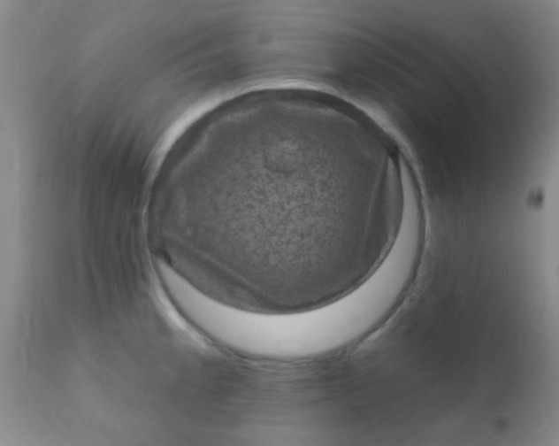 X0000110941189200907022126