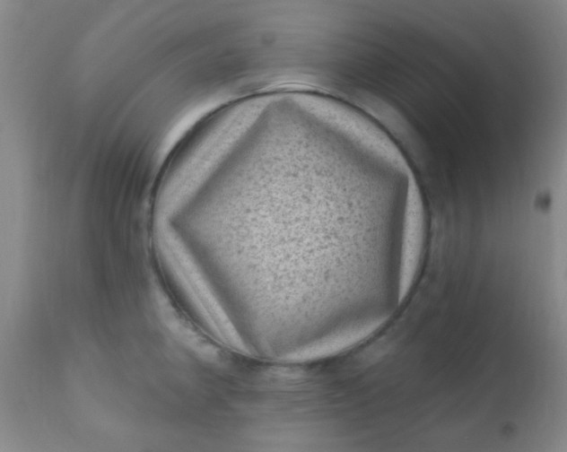 X0000110941190200907022126