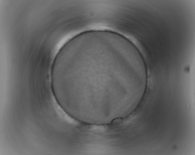 X0000110941191200907022126