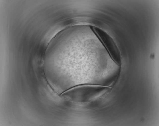 X0000110941193200907022126