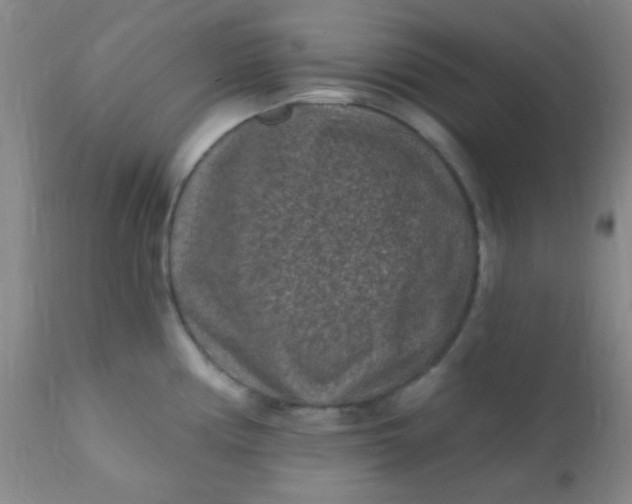 X0000110941194200907022126