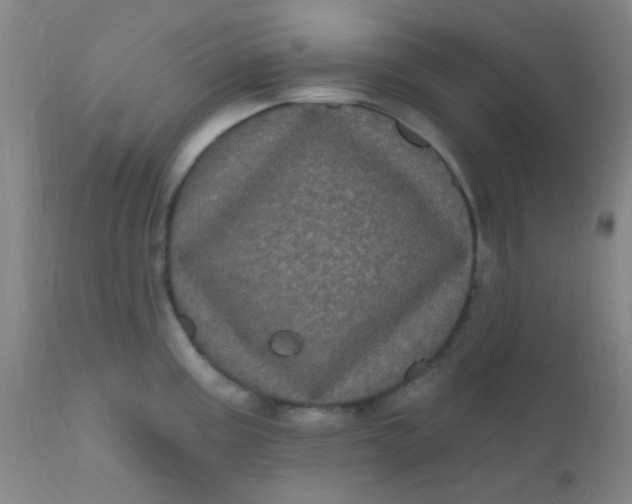 X0000110941195200907022126