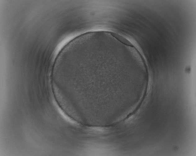 X0000110941197200907022126