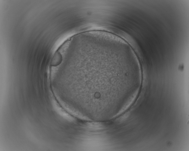 X0000110941198200907022126