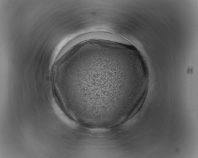 X0000110941200200907022126