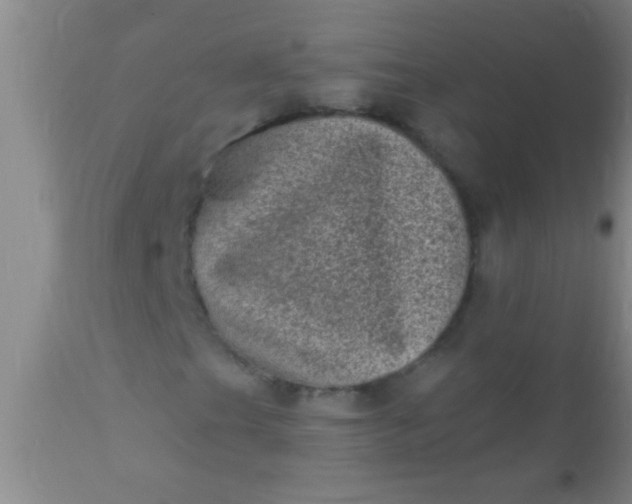 X0000110941201200907022125