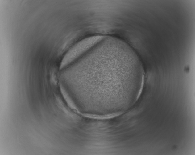 X0000110941202200907022125