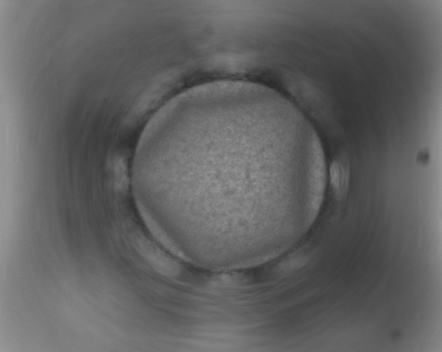 X0000110941203200907022125