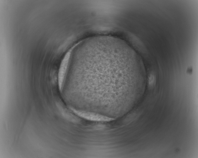 X0000110941204200907022125