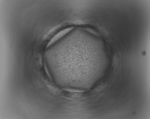 X0000110941205200907022125