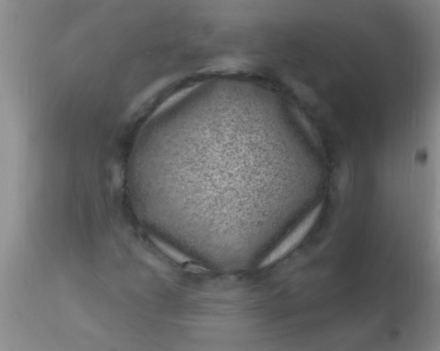 X0000110941206200907022125