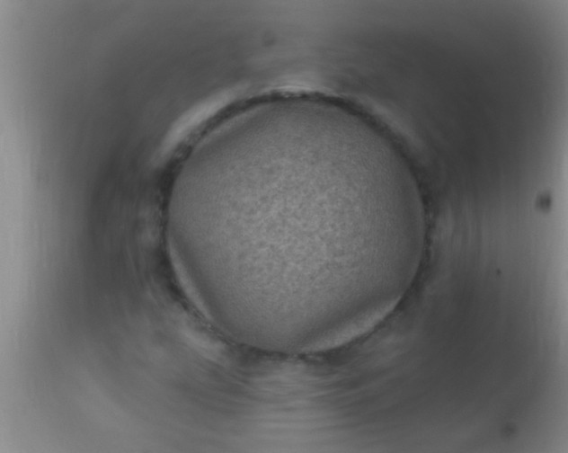 X0000110941207200907022125