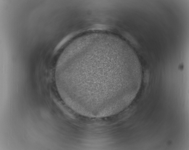 X0000110941208200907022125