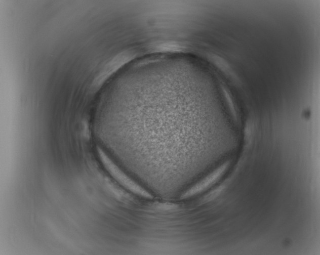 X0000110941209200907022125