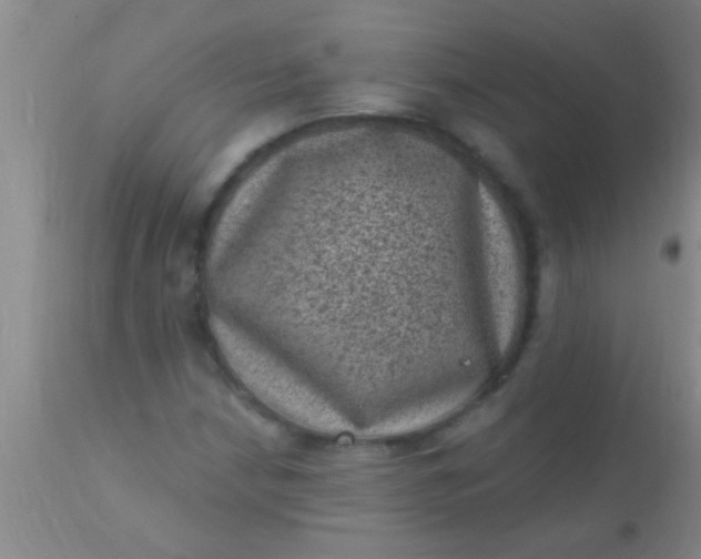 X0000110941210200907022125