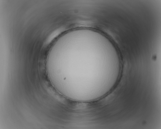 X0000110941211200907022125