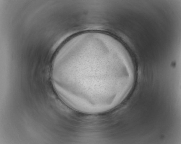 X0000110941212200907022125