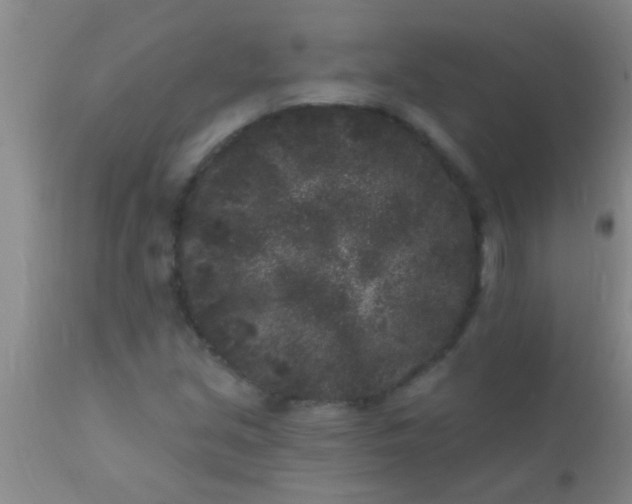 X0000110941213200907022126