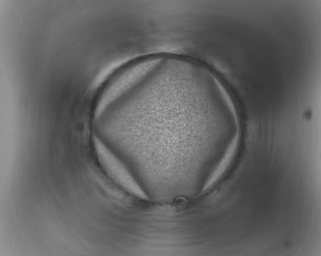 X0000110941214200907022126