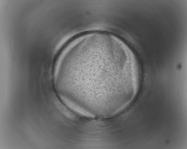 X0000110941216200907022126