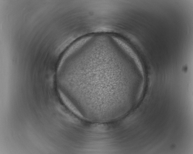 X0000110941217200907022126