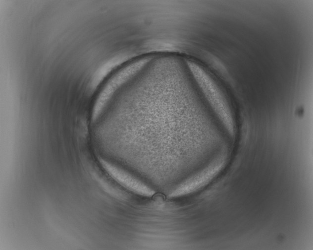 X0000110941218200907022126