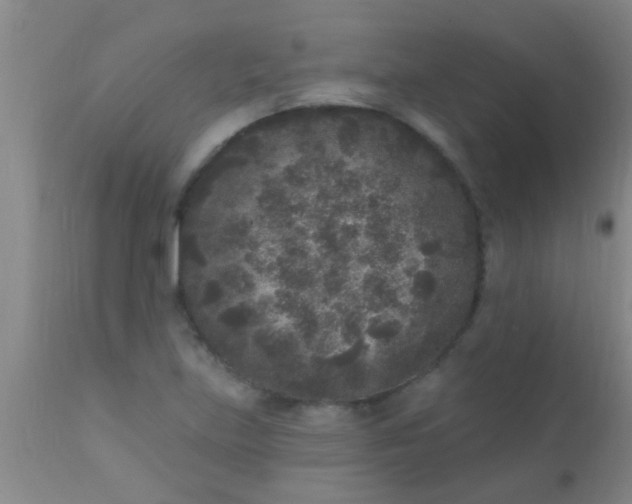 X0000110941219200907022126