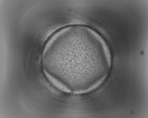 X0000110941220200907022126