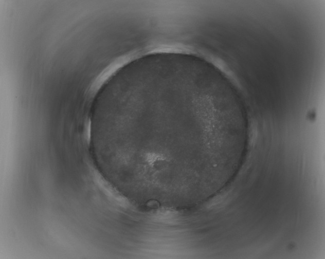 X0000110941221200907022126