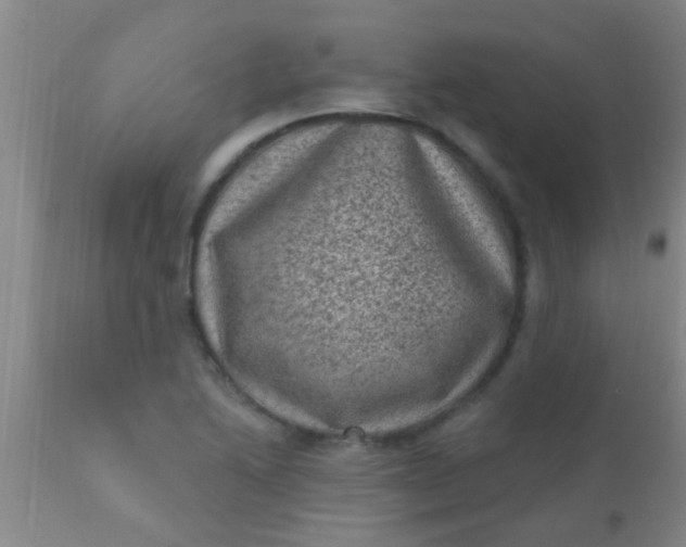 X0000110941222200907022126