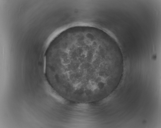 X0000110941223200907022126