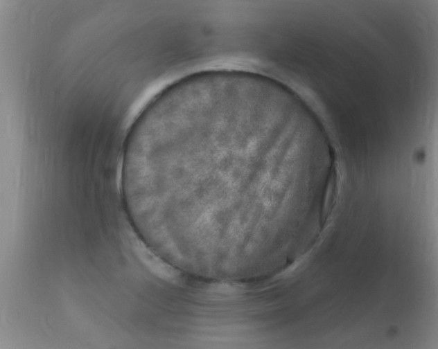 X0000110941224200907022126