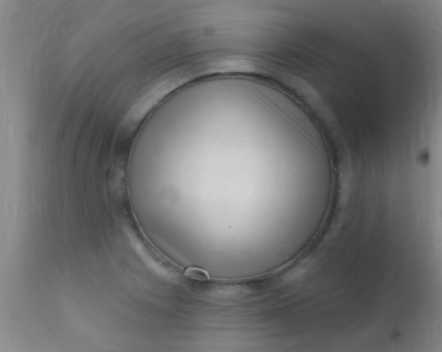 X0000110941225200907022126